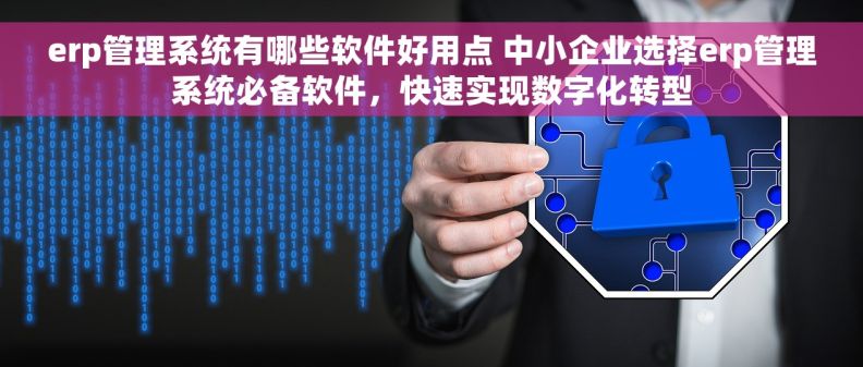 erp管理系统有哪些软件好用点 中小企业选择erp管理系统必备软件，快速实现数字化转型