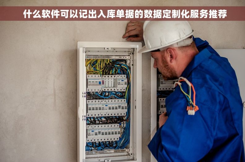 什么软件可以记出入库单据的数据定制化服务推荐 什么软件可以记出入库单据的数据定制化服务推荐