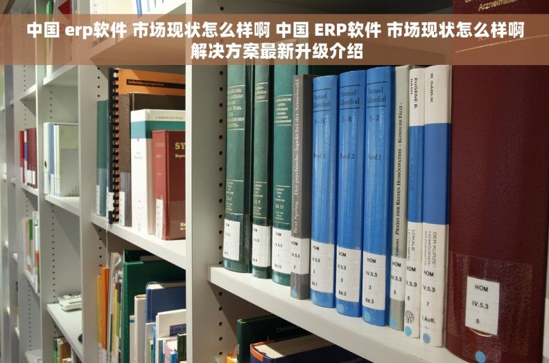 中国 erp软件 市场现状怎么样啊 中国 ERP软件 市场现状怎么样啊 解决方案最新升级介绍
