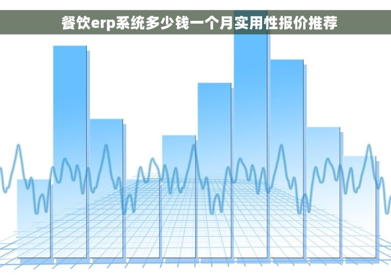   餐饮erp系统多少钱一个月实用性报价推荐
