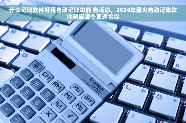 什么记账软件好用自动记账功能 告诉你,2024年最火自动记账软件到底哪个更适合你 什么记账软件好用自动记账功能 告诉你,2024年最火自动记账软件到底哪个更适合你