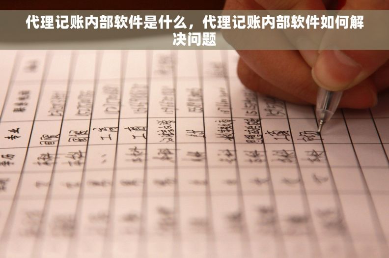 代理记账内部软件是什么，代理记账内部软件如何解决问题