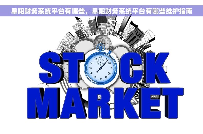 阜阳财务系统平台有哪些，阜阳财务系统平台有哪些维护指南