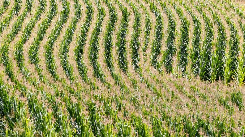 三农财务软件有哪些 三农财务软件对比分析，帮你找到最适合的农业财务利器