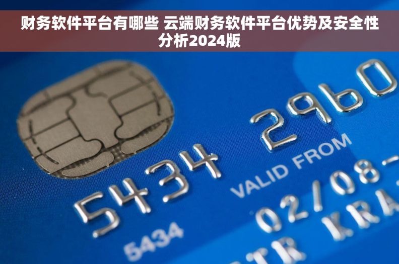 财务软件平台有哪些 云端财务软件平台优势及安全性分析2024版