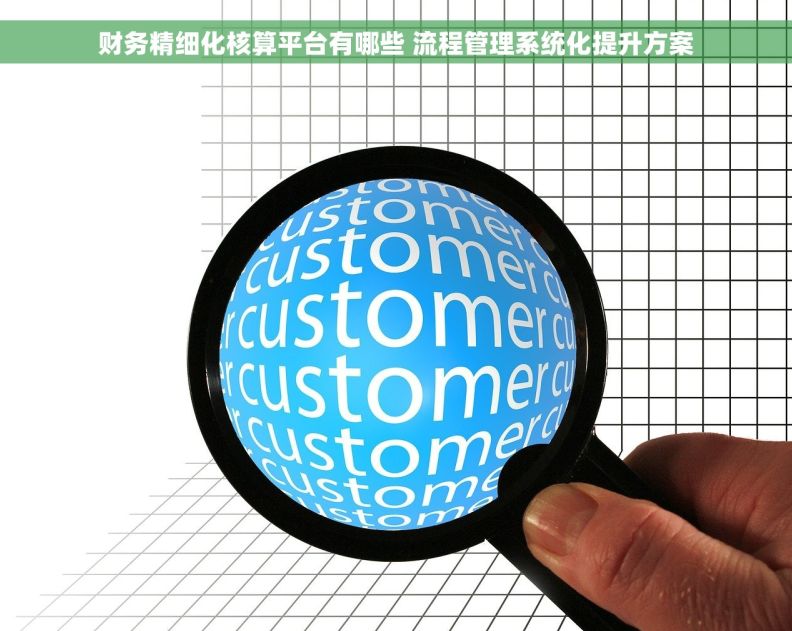 财务精细化核算平台有哪些 流程管理系统化提升方案