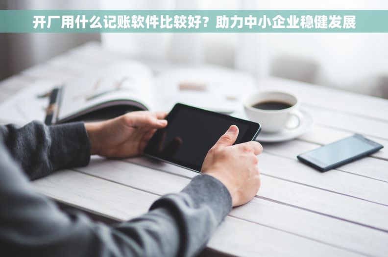 开厂用什么记账软件比较好?助力中小企业稳健发展 开厂用什么记账软件比较好?助力中小企业稳健发展