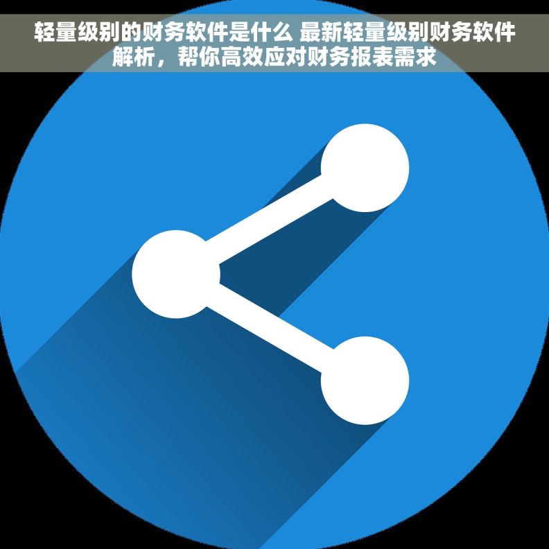 轻量级别的财务软件是什么 最新轻量级别财务软件解析，帮你高效应对财务报表需求