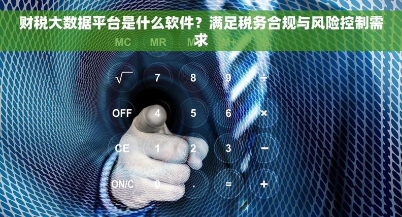 财税大数据平台是什么软件？满足税务合规与风险控制需求