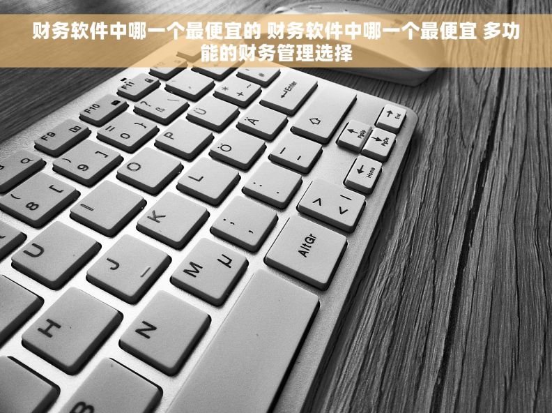 财务软件中哪一个最便宜的 财务软件中哪一个最便宜 多功能的财务管理选择