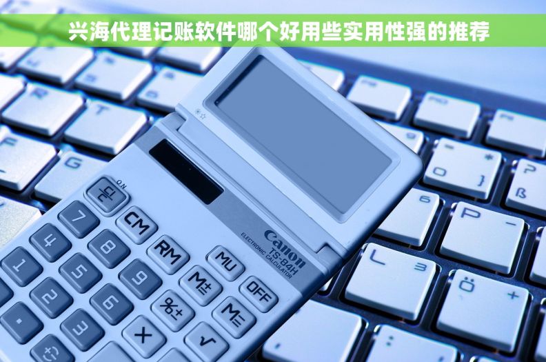   兴海代理记账软件哪个好用些实用性强的推荐