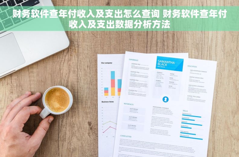 财务软件查年付收入及支出怎么查询 财务软件查年付收入及支出数据分析方法