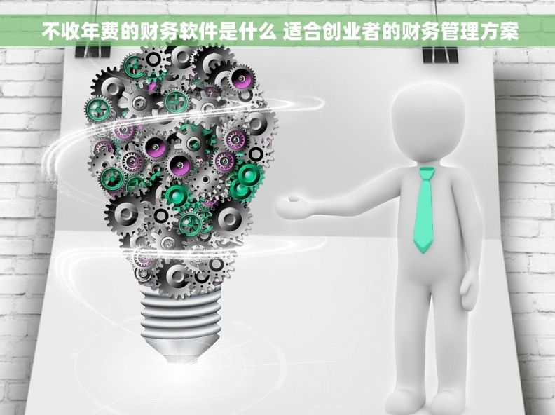  不收年费的财务软件是什么 适合创业者的财务管理方案