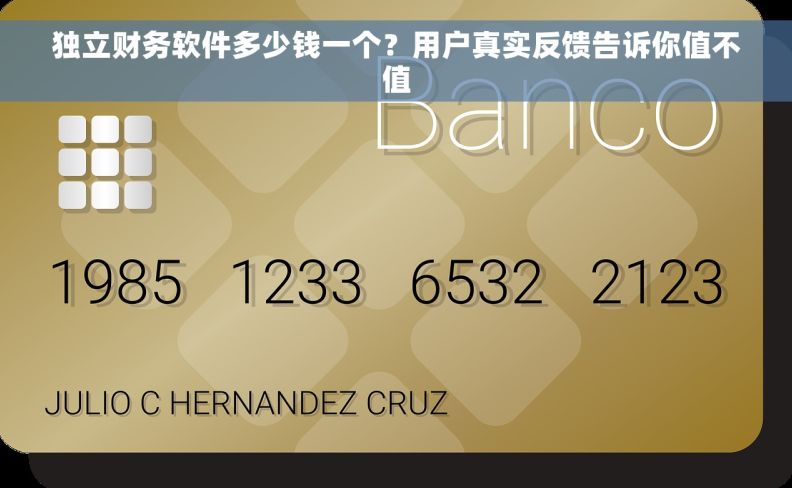 独立财务软件多少钱一个？用户真实反馈告诉你值不值