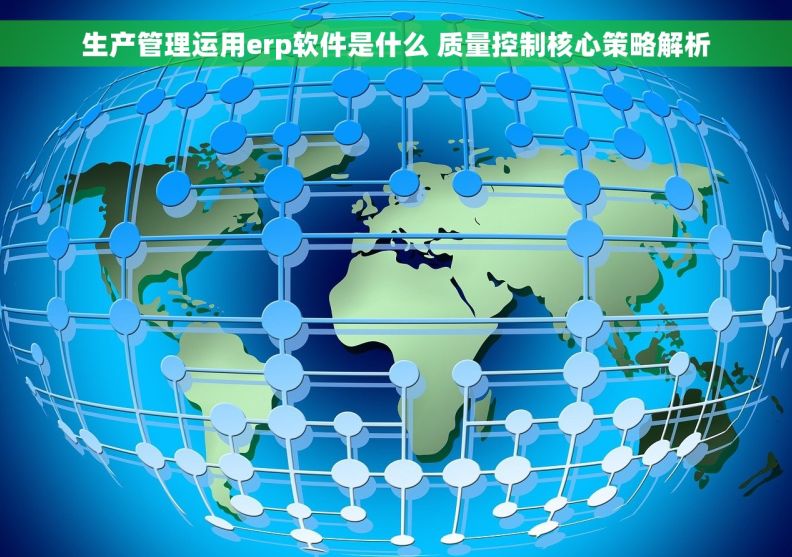 生产管理运用erp软件是什么 质量控制核心策略解析