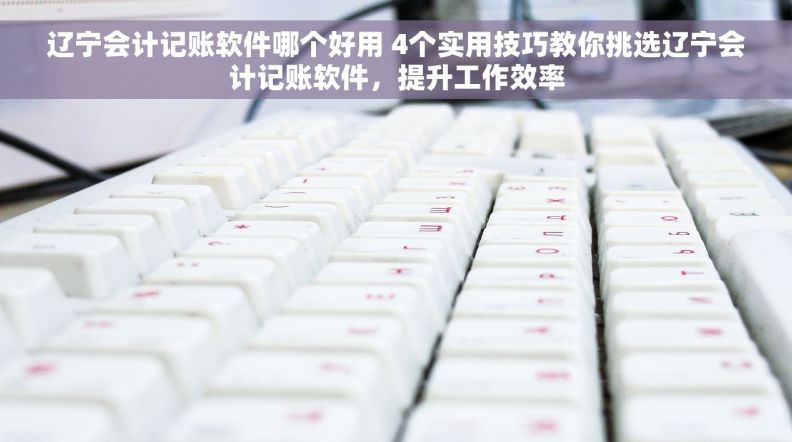 辽宁会计记账软件哪个好用 4个实用技巧教你挑选辽宁会计记账软件，提升工作效率