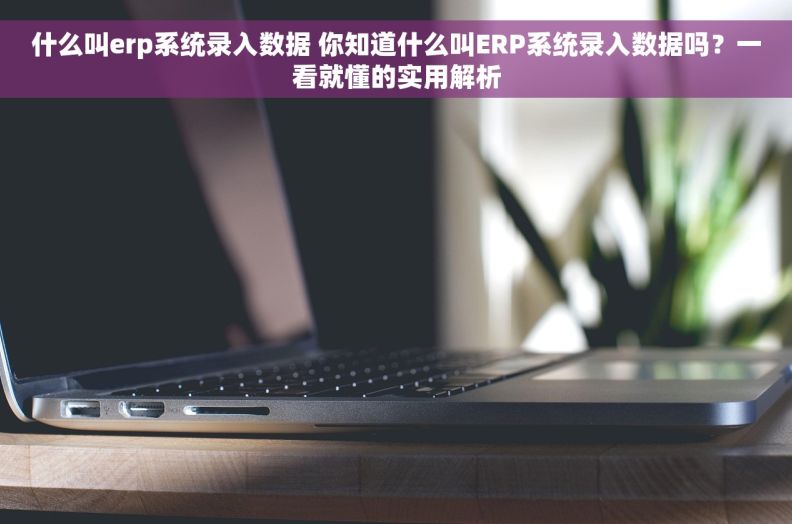 什么叫erp系统录入数据 你知道什么叫ERP系统录入数据吗？一看就懂的实用解析
