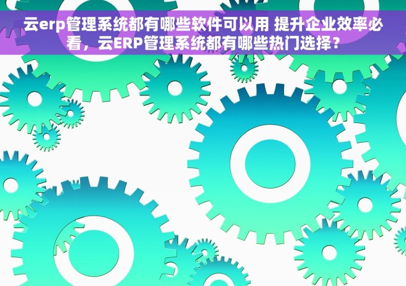 云erp管理系统都有哪些软件可以用 提升企业效率必看，云ERP管理系统都有哪些热门选择？