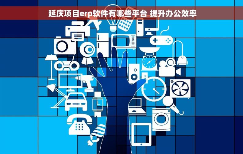 延庆项目erp软件有哪些平台 提升办公效率 延庆项目erp软件有哪些平台 提升办公效率