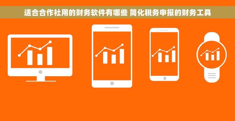 适合合作社用的财务软件有哪些 简化税务申报的财务工具