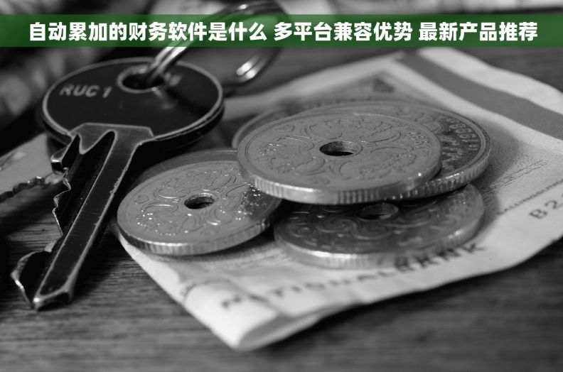 自动累加的财务软件是什么 多平台兼容优势 最新产品推荐