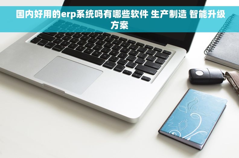  国内好用的erp系统吗有哪些软件 生产制造 智能升级方案