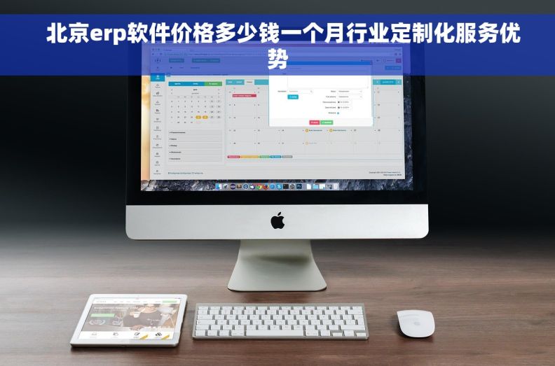   北京erp软件价格多少钱一个月行业定制化服务优势