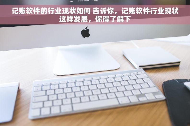 记账软件的行业现状如何 告诉你，记账软件行业现状这样发展，你得了解下