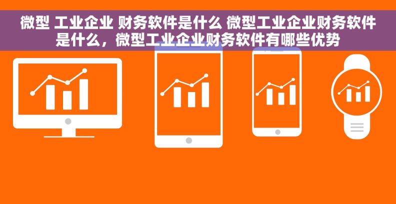 微型 工业企业 财务软件是什么 微型工业企业财务软件是什么，微型工业企业财务软件有哪些优势