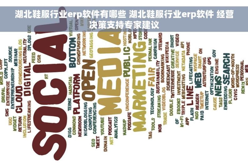 湖北鞋服行业erp软件有哪些 湖北鞋服行业erp软件 经营决策支持专家建议