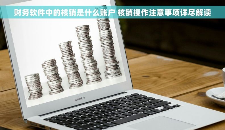 财务软件中的核销是什么账户 核销操作注意事项详尽解读