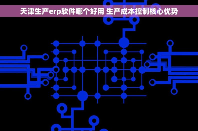 天津生产erp软件哪个好用 生产成本控制核心优势