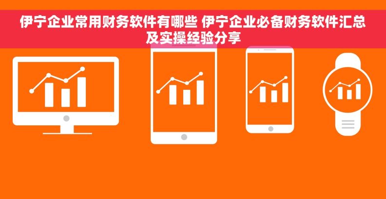 伊宁企业常用财务软件有哪些 伊宁企业必备财务软件汇总及实操经验分享