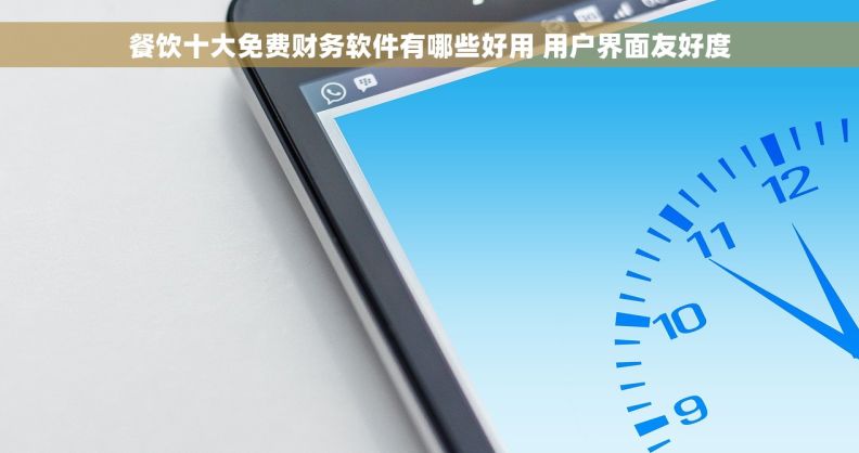 餐饮十大免费财务软件有哪些好用 用户界面友好度