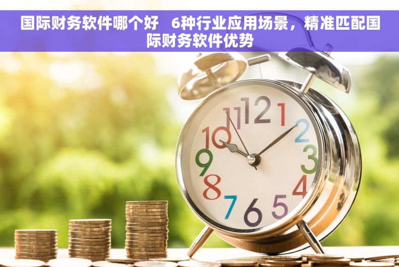 国际财务软件哪个好   6种行业应用场景，精准匹配国际财务软件优势