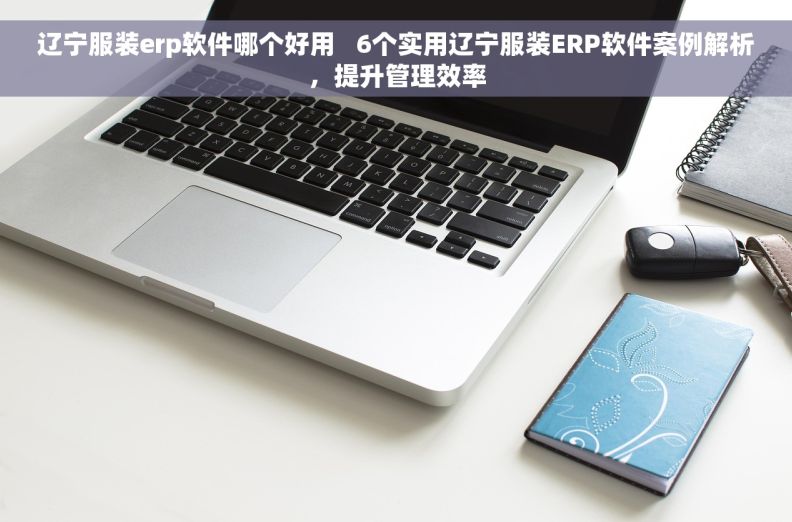 辽宁服装erp软件哪个好用 6个实用辽宁服装ERP软件案例解析,提升管理效率 辽宁服装erp软件哪个好用 6个实用辽宁服装ERP软件案例解析,提升管理效率