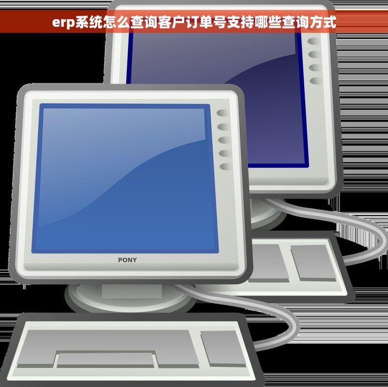 erp系统怎么查询客户订单号支持哪些查询方式