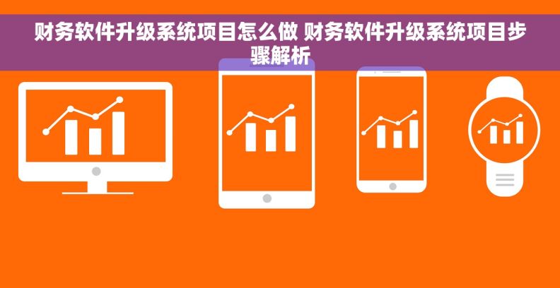 财务软件升级系统项目怎么做 财务软件升级系统项目步骤解析