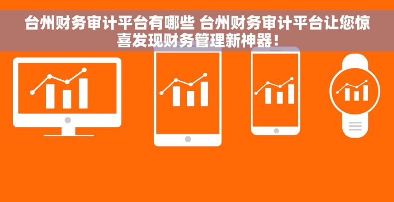台州财务审计平台有哪些 台州财务审计平台让您惊喜发现财务管理新神器！
