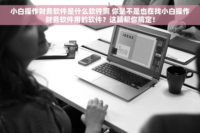小白操作财务软件是什么软件啊 你是不是也在找小白操作财务软件用的软件?这篇帮你搞定! 小白操作财务软件是什么软件啊 你是不是也在找小白操作财务软件用的软件?这篇帮你搞定!