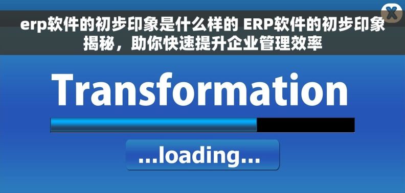 erp软件的初步印象是什么样的 ERP软件的初步印象揭秘，助你快速提升企业管理效率