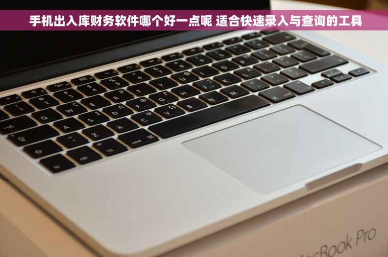  手机出入库财务软件哪个好一点呢 适合快速录入与查询的工具