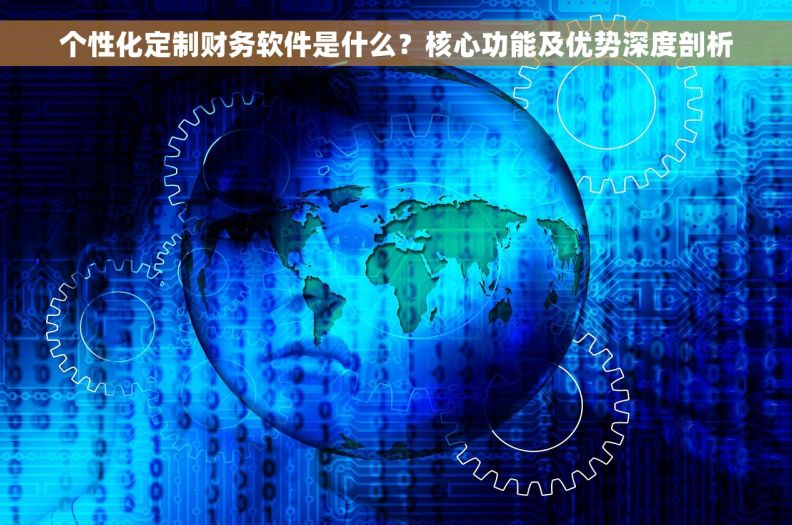 个性化定制财务软件是什么？核心功能及优势深度剖析