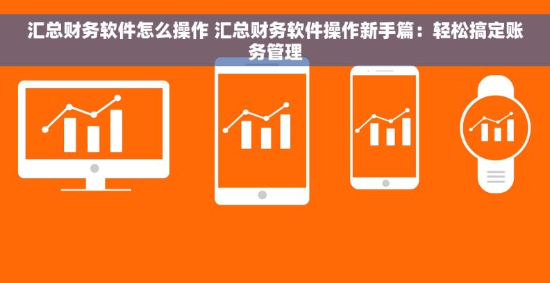 汇总财务软件怎么操作 汇总财务软件操作新手篇：轻松搞定账务管理