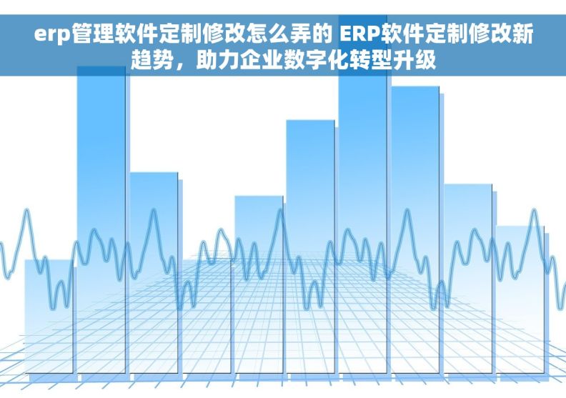 erp管理软件定制修改怎么弄的 ERP软件定制修改新趋势，助力企业数字化转型升级