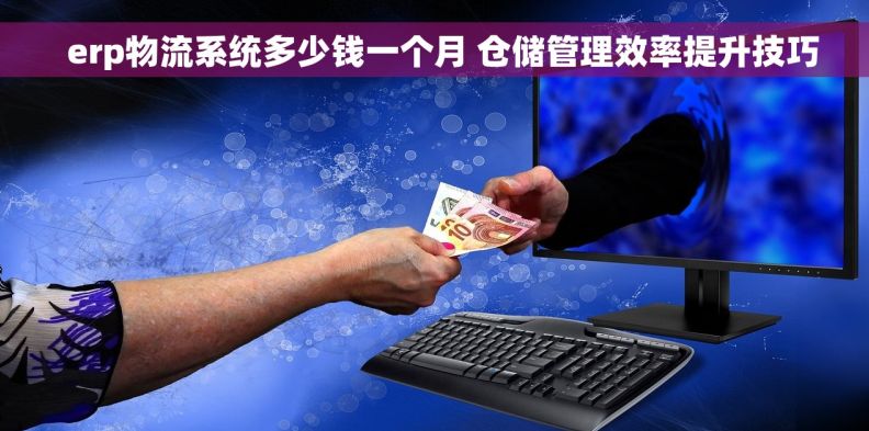 erp物流系统多少钱一个月 仓储管理效率提升技巧 erp物流系统多少钱一个月 仓储管理效率提升技巧