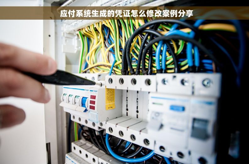   应付系统生成的凭证怎么修改案例分享