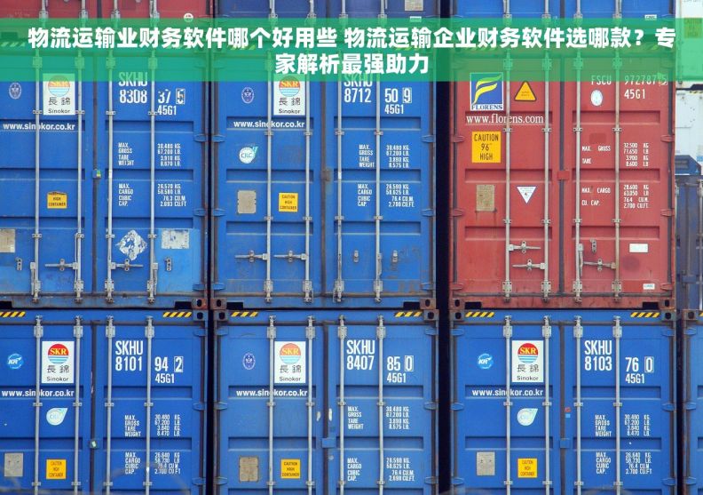 物流运输业财务软件哪个好用些 物流运输企业财务软件选哪款？专家解析最强助力