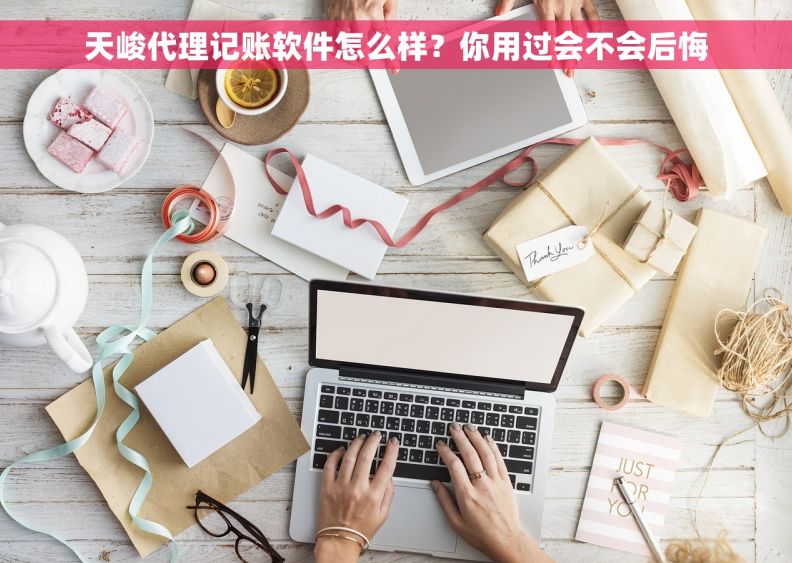 天峻代理记账软件怎么样？你用过会不会后悔