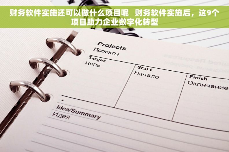 财务软件实施还可以做什么项目呢   财务软件实施后，这9个项目助力企业数字化转型